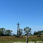 Aurora Klimatyzowane, Z Podgrzewanym Basenem I Zjezdzalnia Wodna 別荘 *