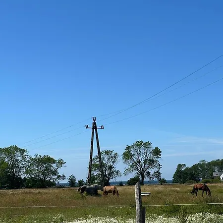 Aurora Klimatyzowane, Z Podgrzewanym Basenem I Zjezdzalnia Wodna 度假居 *